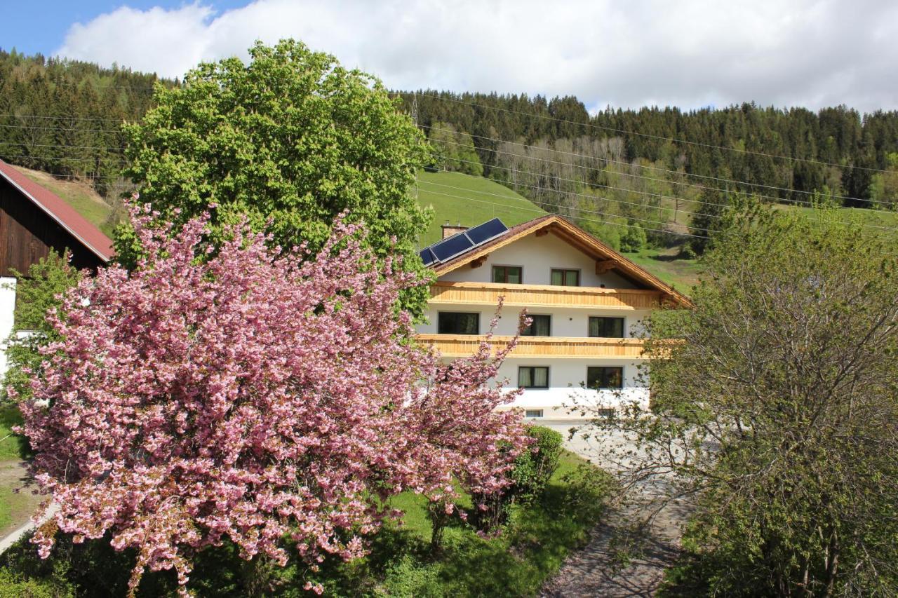 Apartamento Eiblhof Schladming Exterior foto